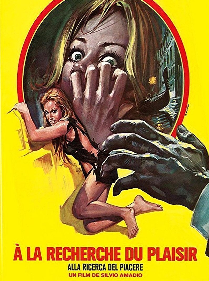 Affiche du film À la recherche du plaisir