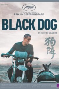 Black Dog