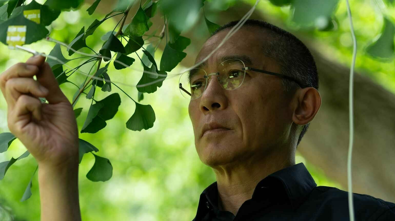 Photo du film Silent Friend, d'Ildikó Enyedi